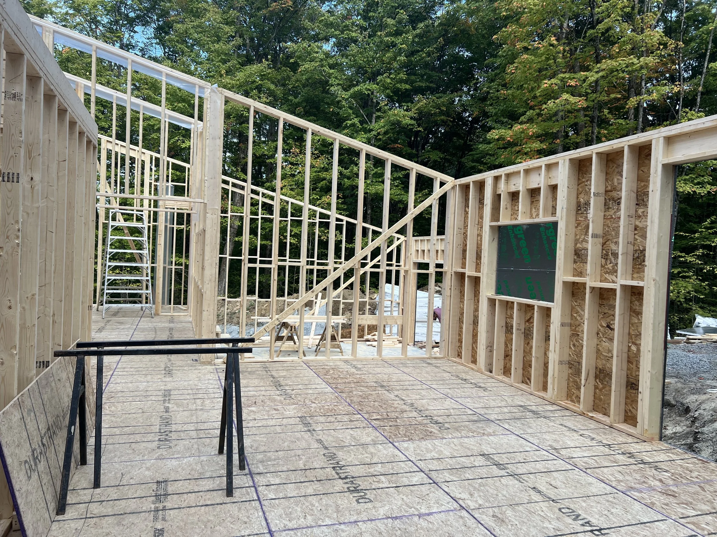 View of a partially constructed wooden house framing with plywood subfloor, standing supports, and wall studs, surrounded by trees.