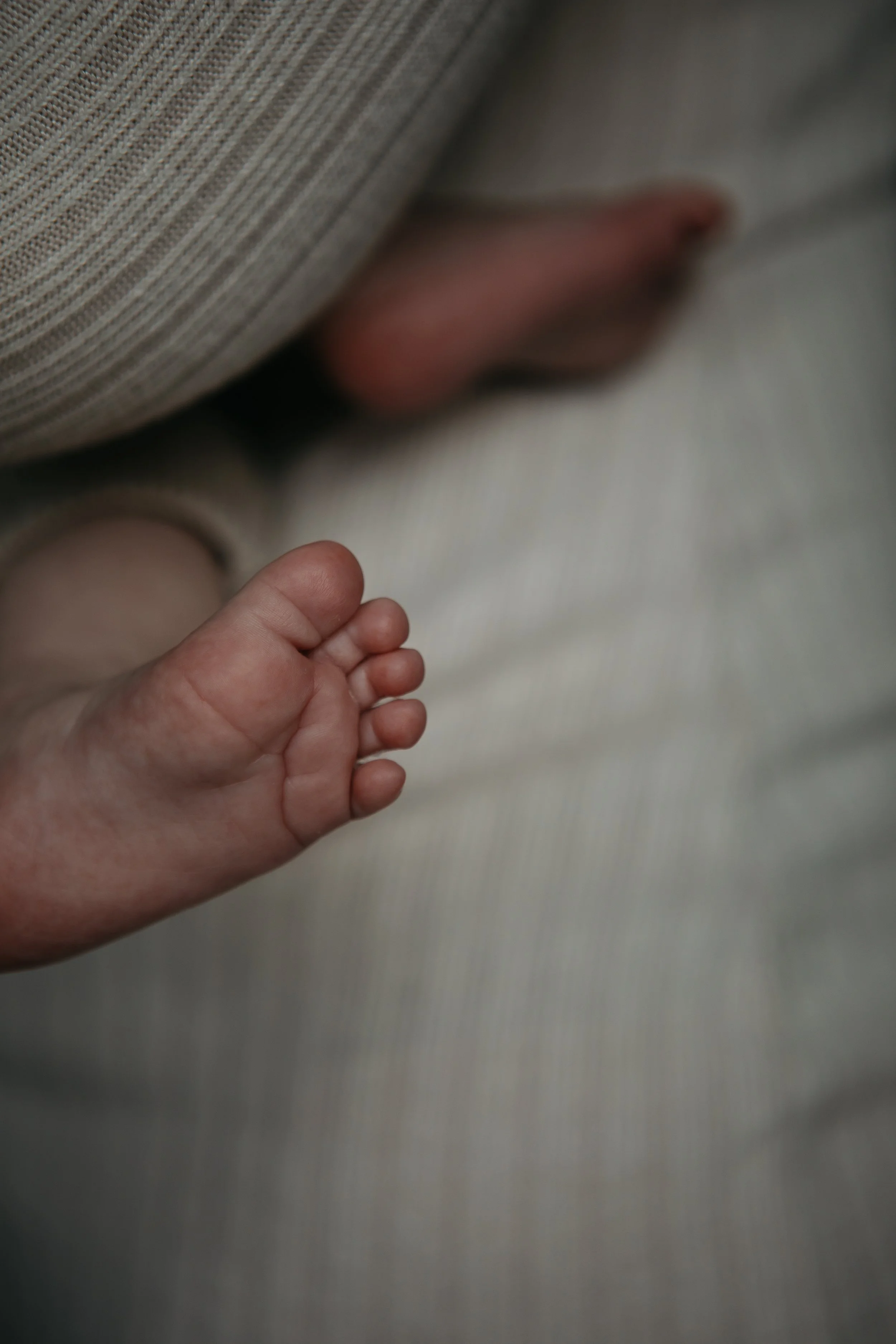 Newborn close up photography london