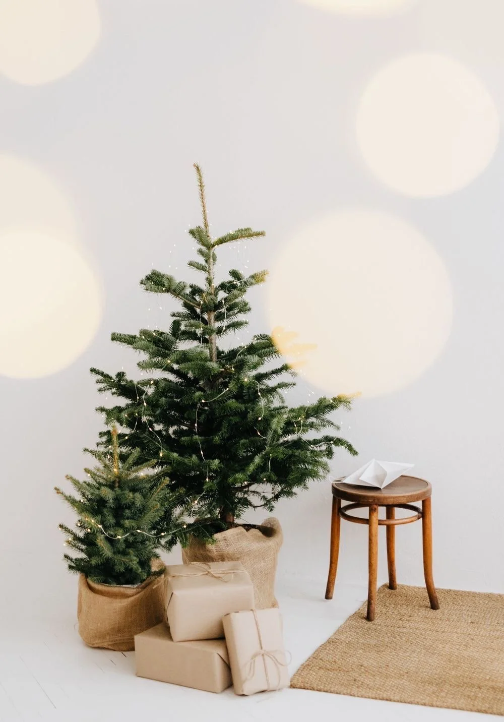 Sip + Shop + Snap: Holiday Pop Up