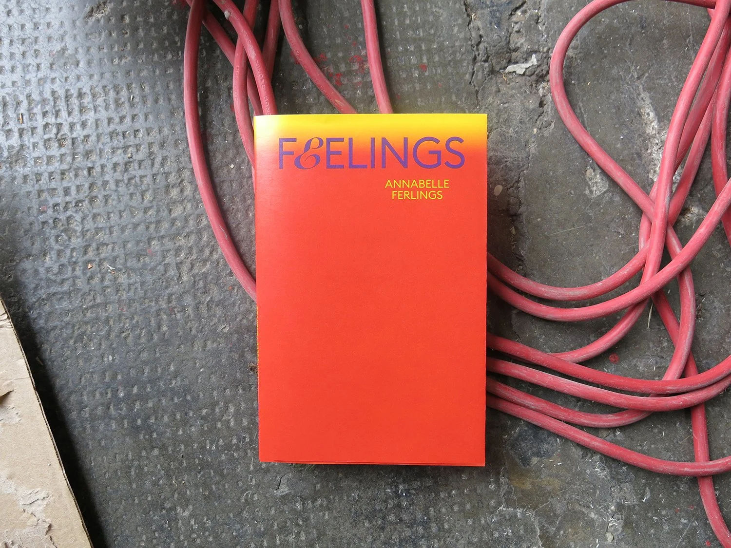 Book Design FEELINGS Annabelle Ferlings 2— Graphic Design Christina Mayer.JPG