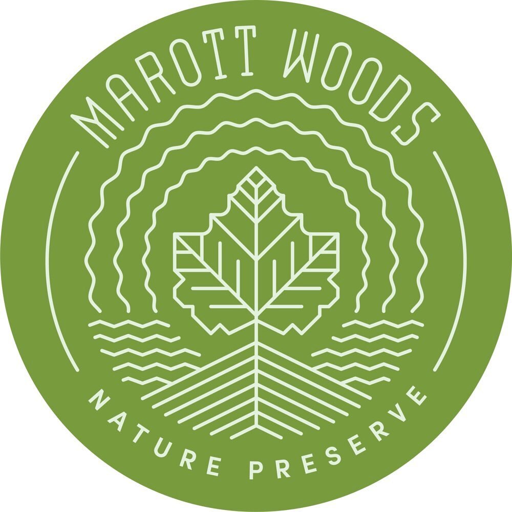Hello!

Welcome to the official IG of the Friends of Marott Woods Nature Preserve.
Marott Woods is a 102-acre nature preserve located in Indianapolis. In 1945, local businessman George Marott donated the land in honor of his beloved wife, Ella, and i