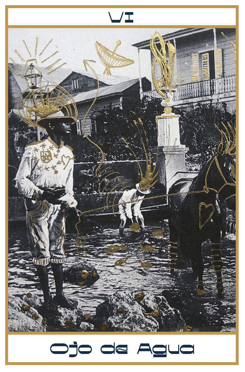 Screenshot 2026-02-03 at 12.14.57 PM.png