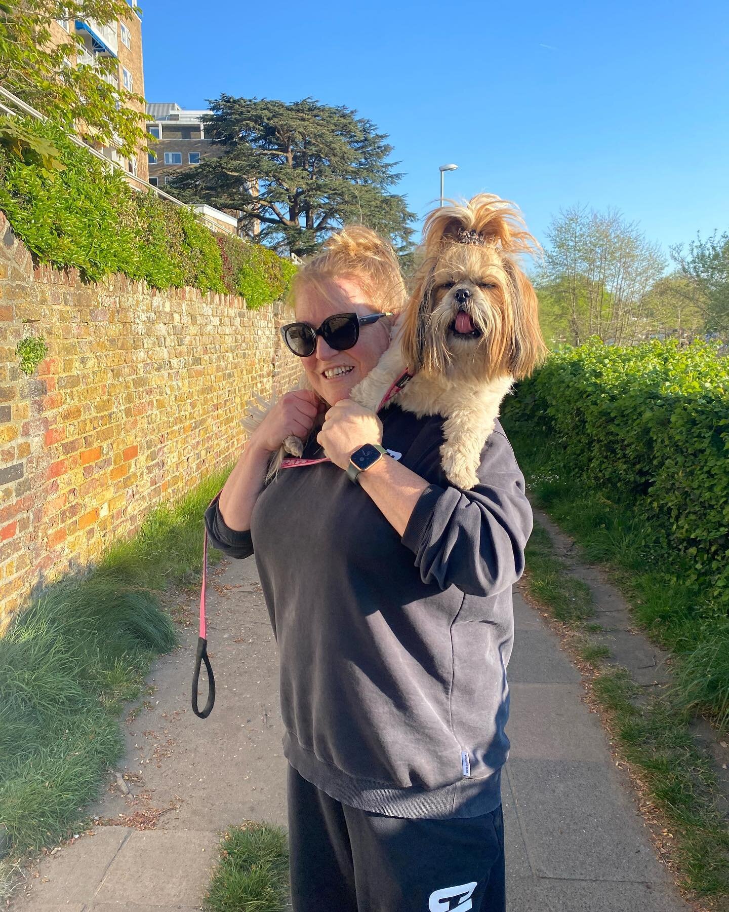 🐶After work walk with my little lamb 🐑

💗 She is a study in trust and love, cos it&rsquo;s all she&rsquo;s ever known! 💗

And being a total piece obvs&hellip;

#dogs #dogsofinstagram #dogslife #shihtzu #shihtzus #shihtzulovers #shihtzusofinstagra