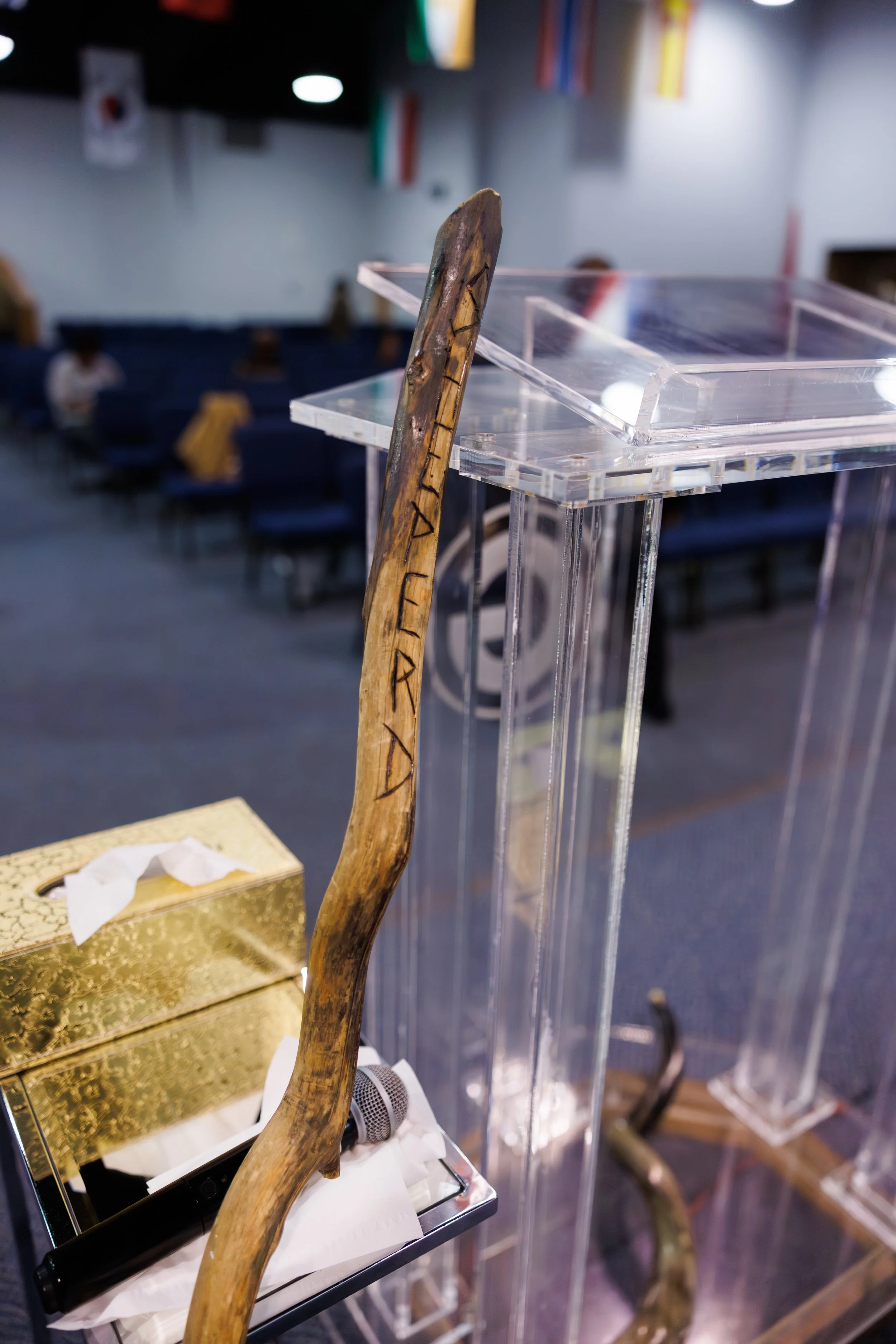 GG Transition-132.jpg