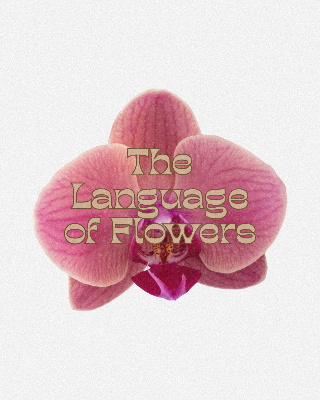 The Language of Flowers.png