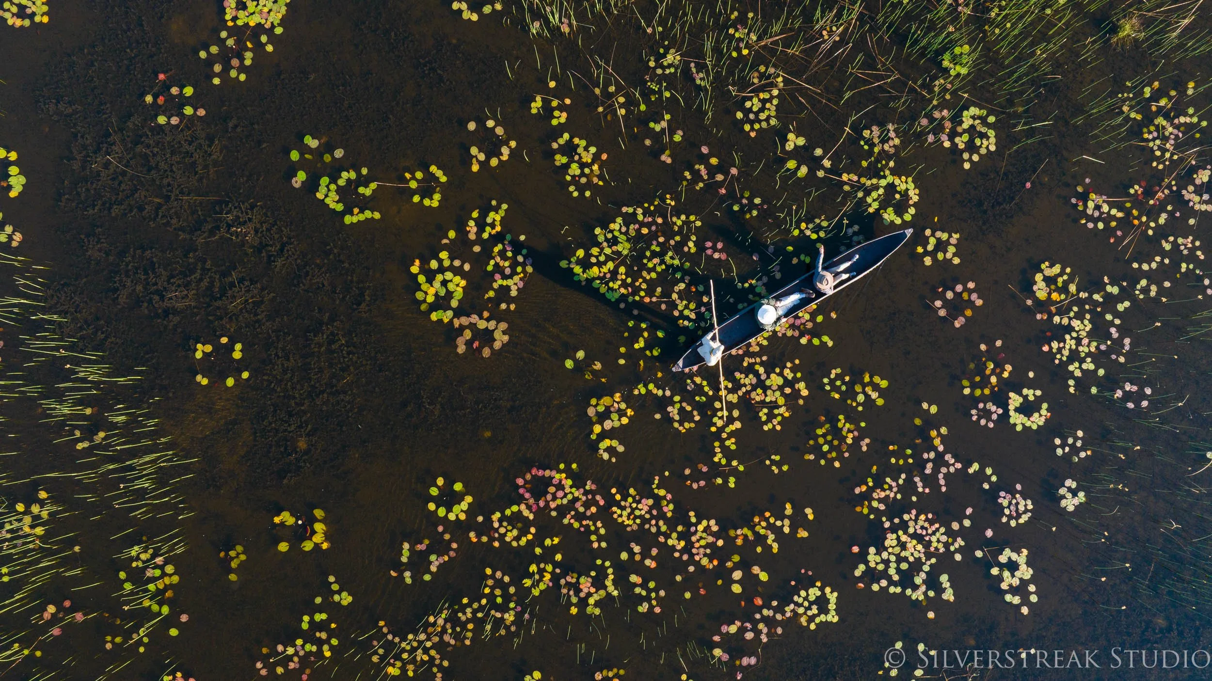 DJI_20230830075546_0229_D.jpg