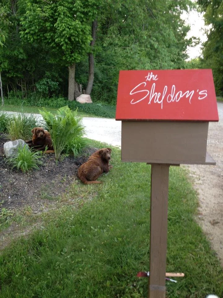 side-mailbox-with-dogs1.jpeg