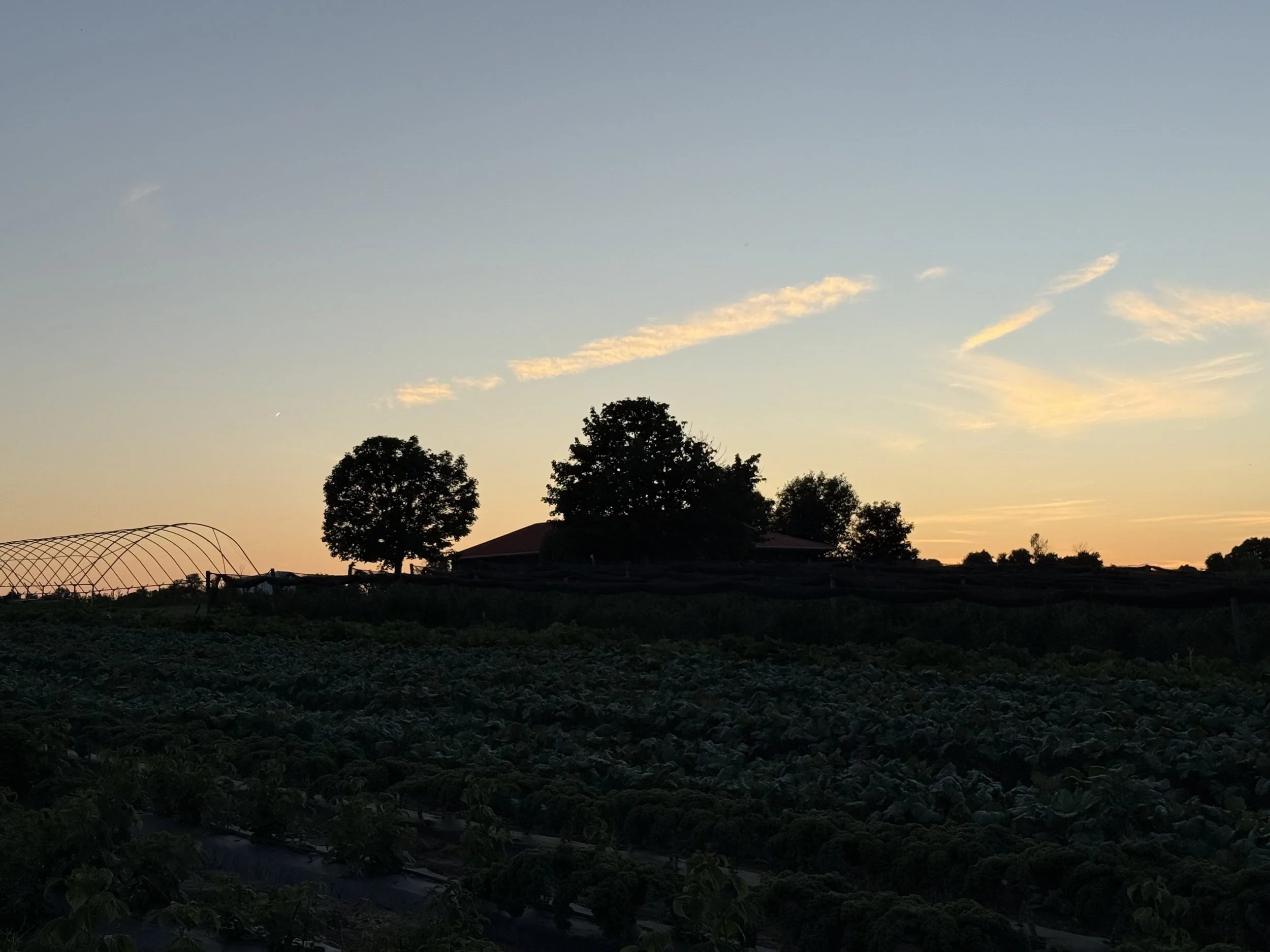 IMG_1855.jpeg
