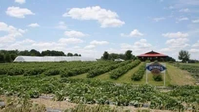 Farm frontage.jpg