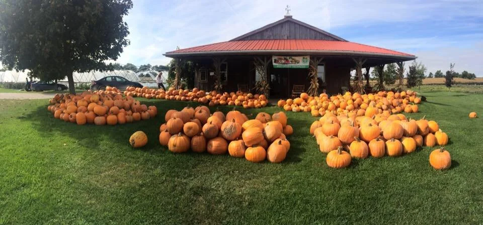 shed_pumpkins1.jpeg