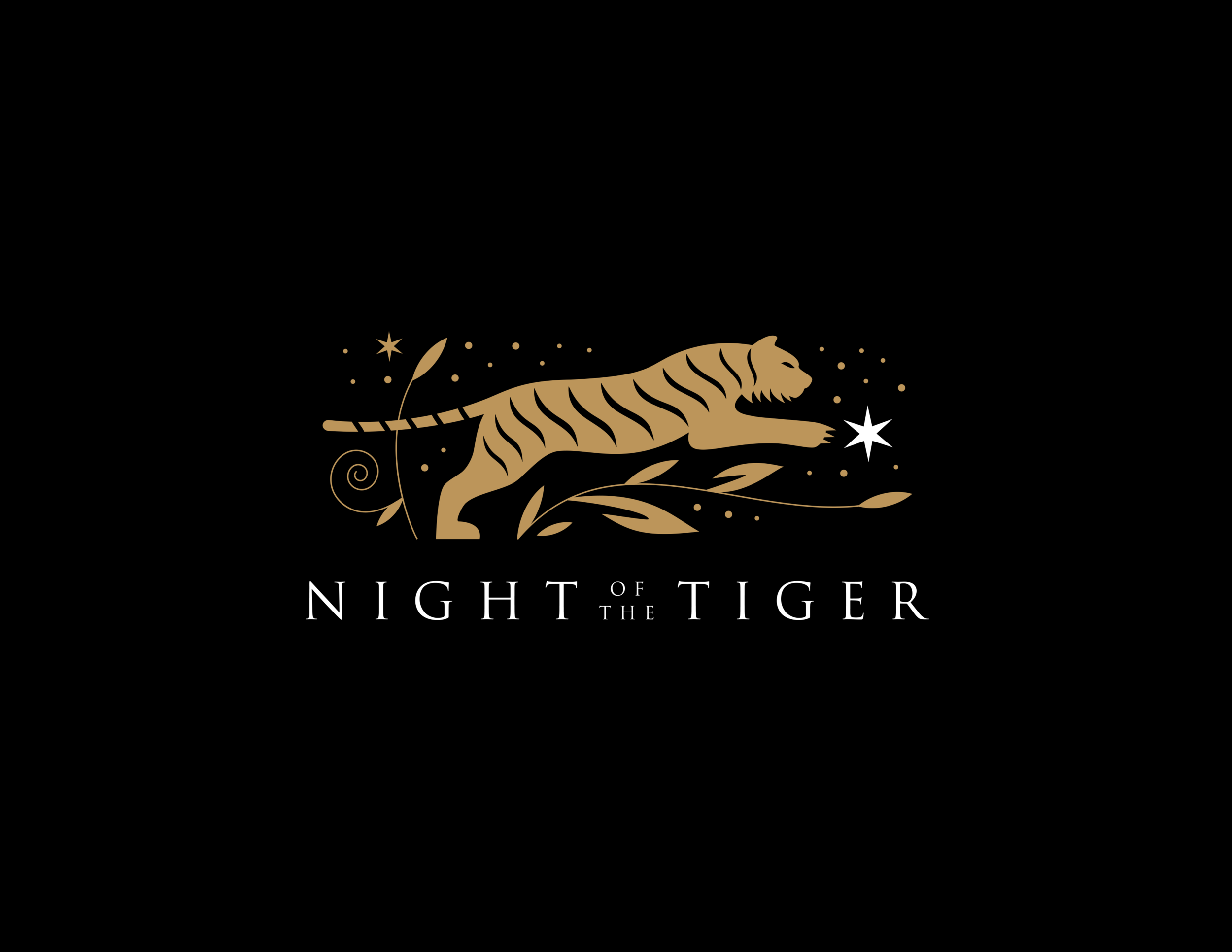 zoofariSquare_Tiger_03.png