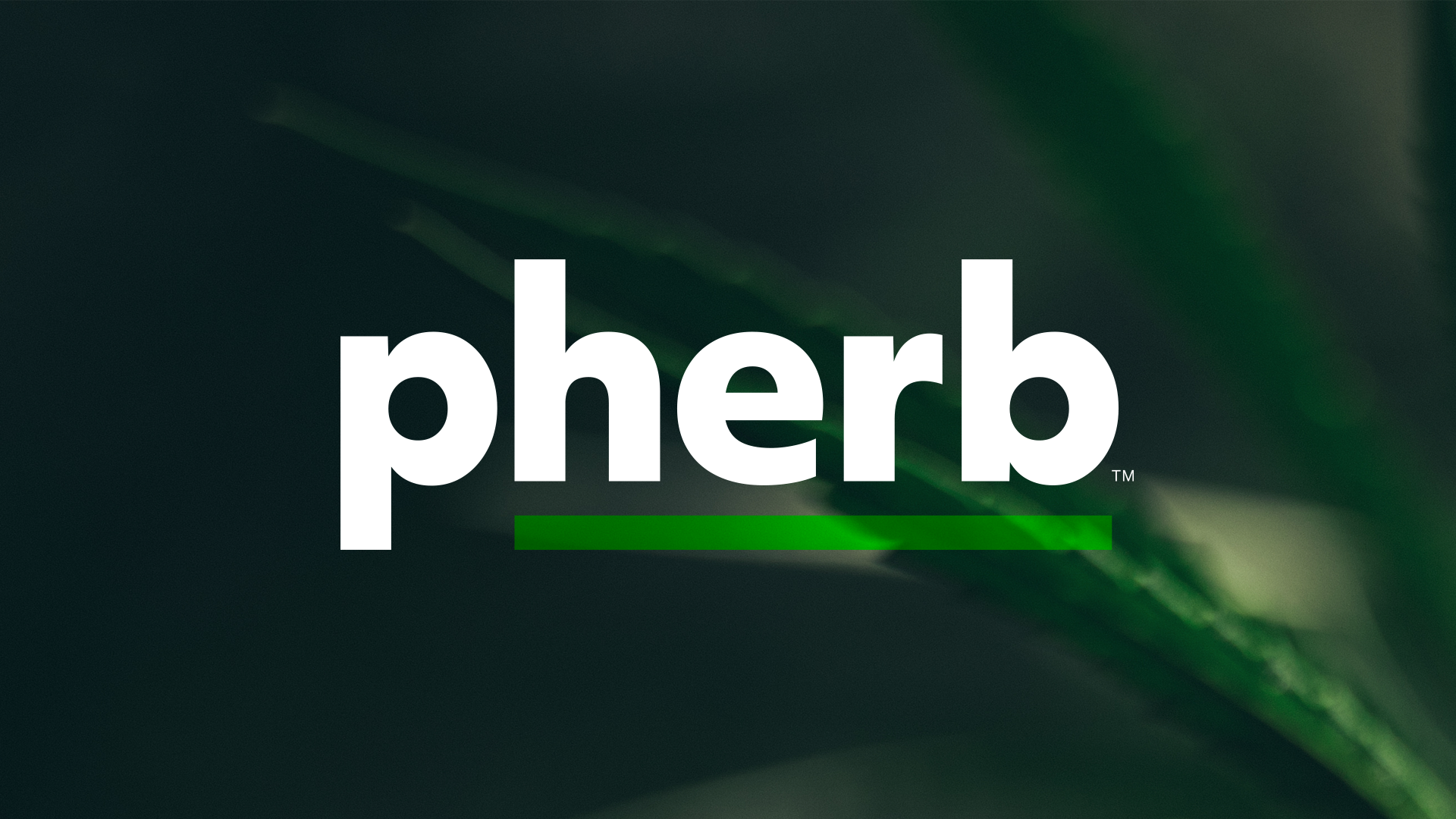 pherb-flower.png