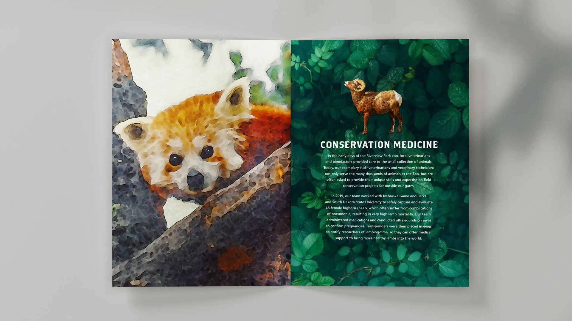 Agent-Omaha Zoo Foundation-Impact Report-3.jpg