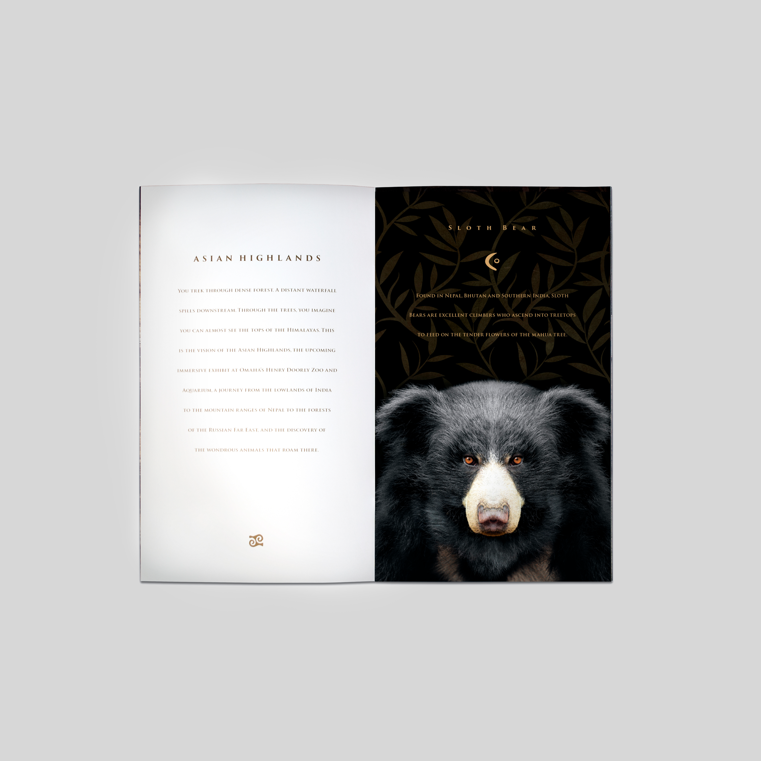 Brochure_Front_spread.png