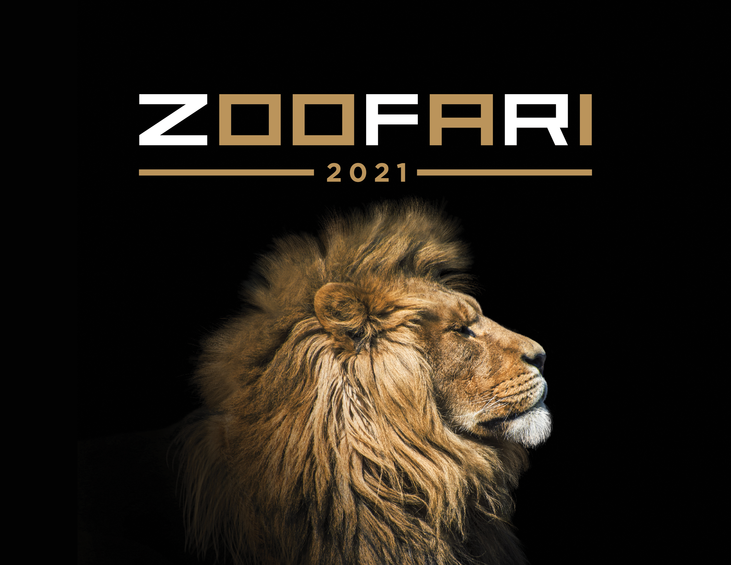zoofariSquare_02.png