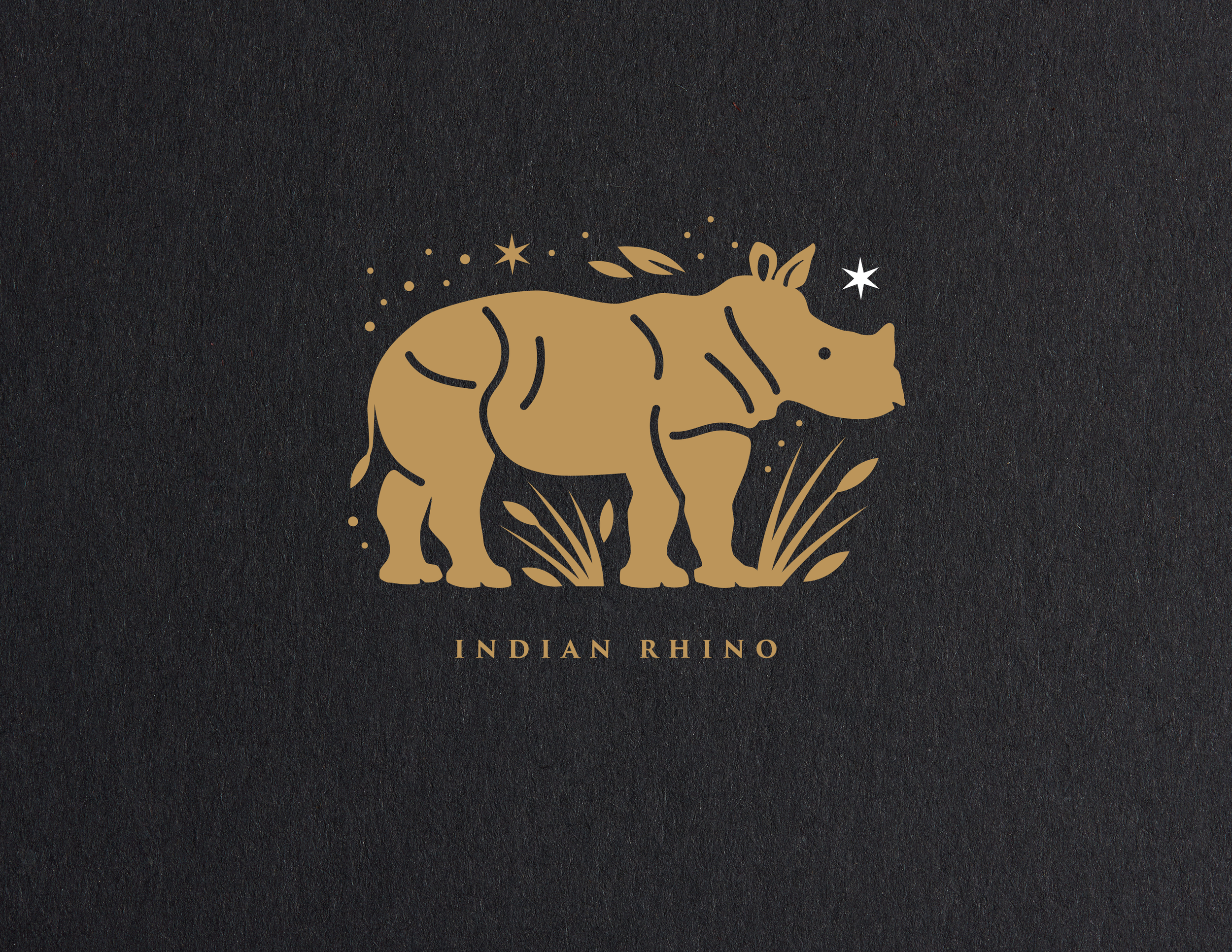 Rhino.png