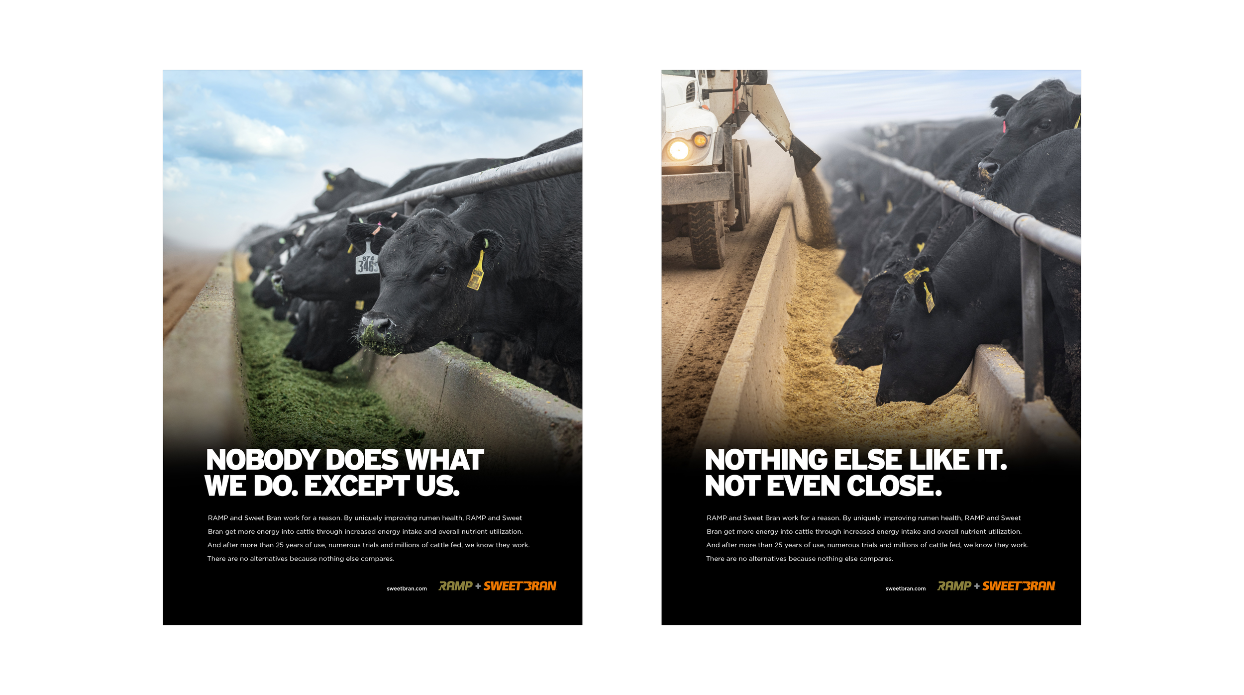 Agent New Cargill 24.png