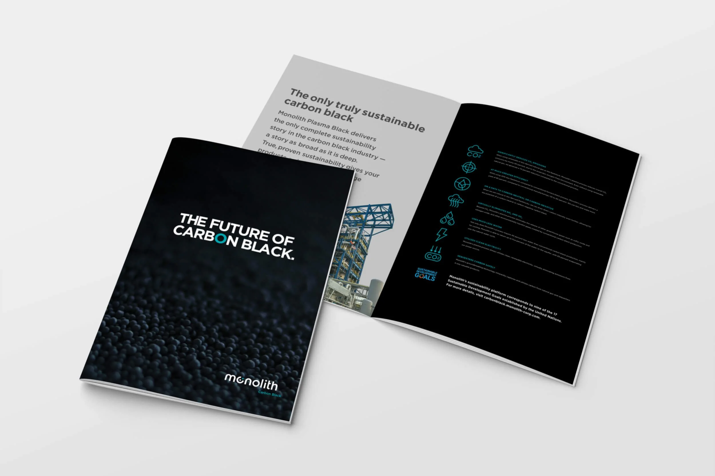 Carbon-Black-Brochure-2.jpg