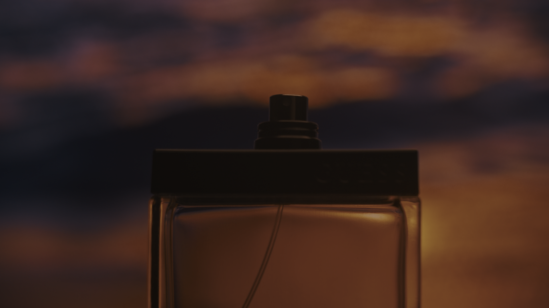 col_1.2.1.png