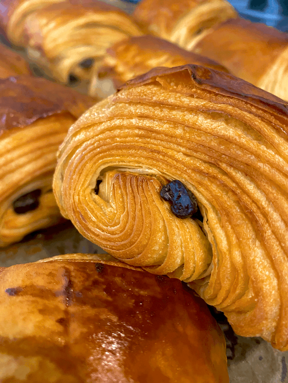 Galette feuilletée avec des raisins secs, pâte dorée et croustillante.