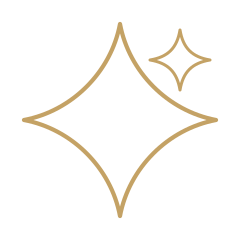 Étoile stylisée avec un éclat brillant à côté.