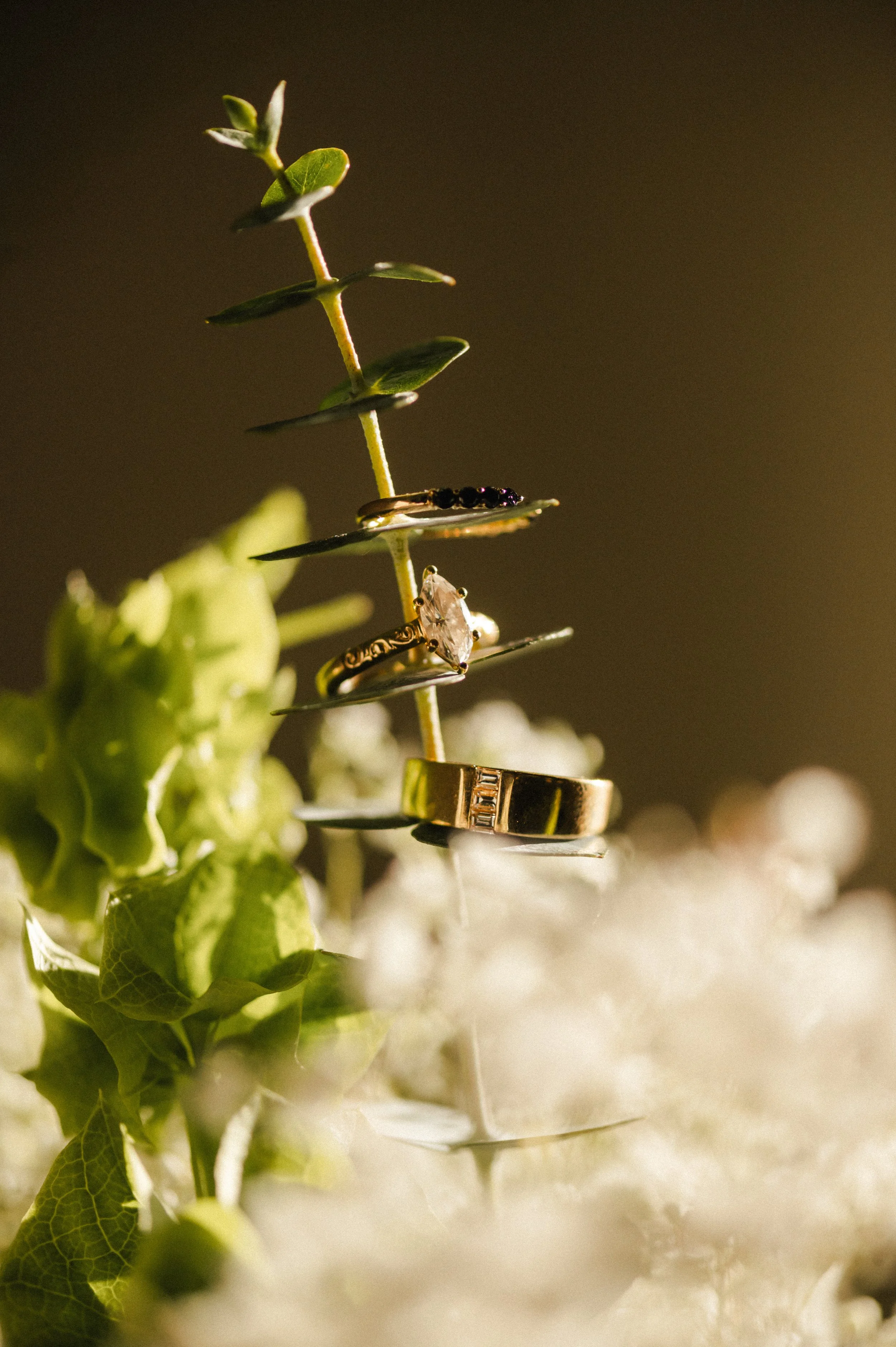 MGC_2016.jpg