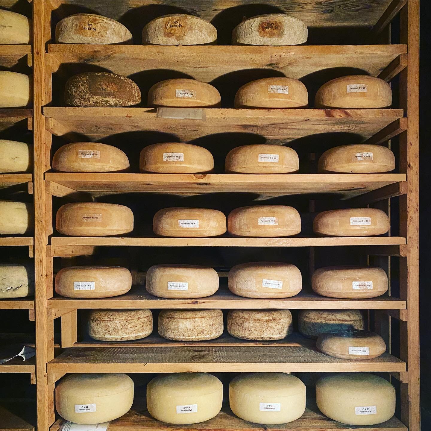 Did somebody say cheese? #cheesecave