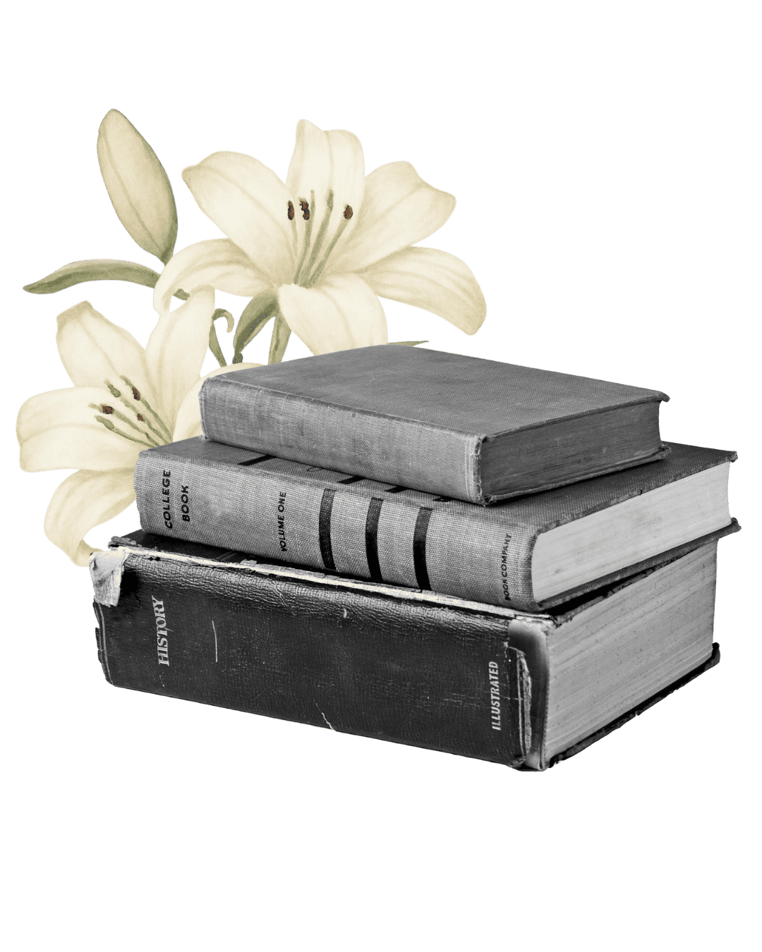 online home (10).png