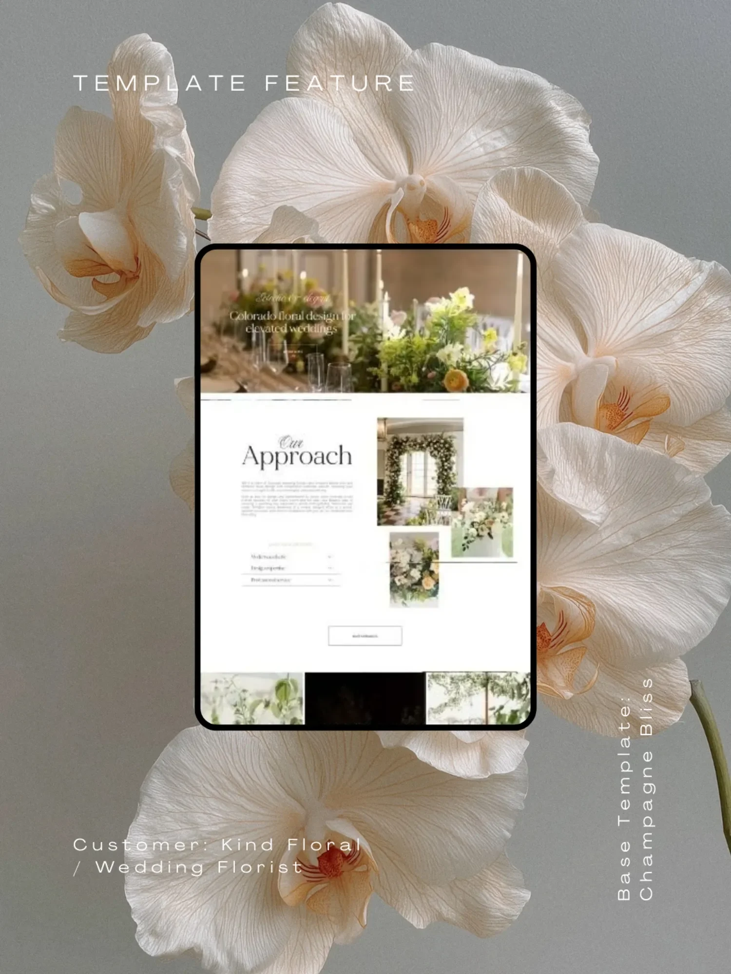 How Kristin Turned a Website Template Into a Stunning Brand Experience