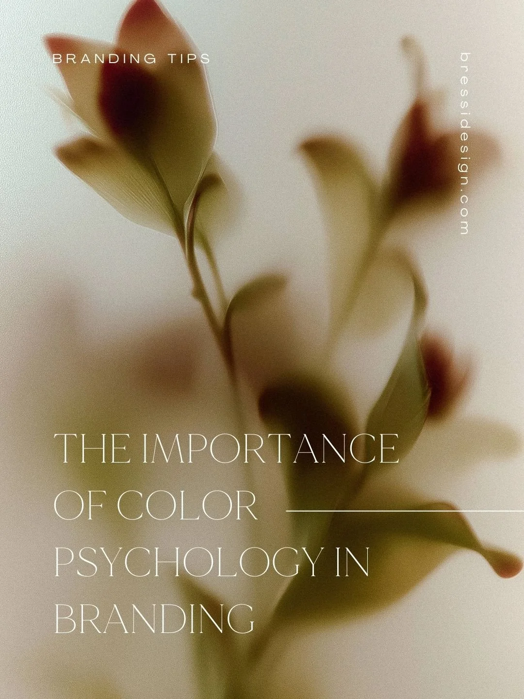 The Importance of Color Psychology in Branding