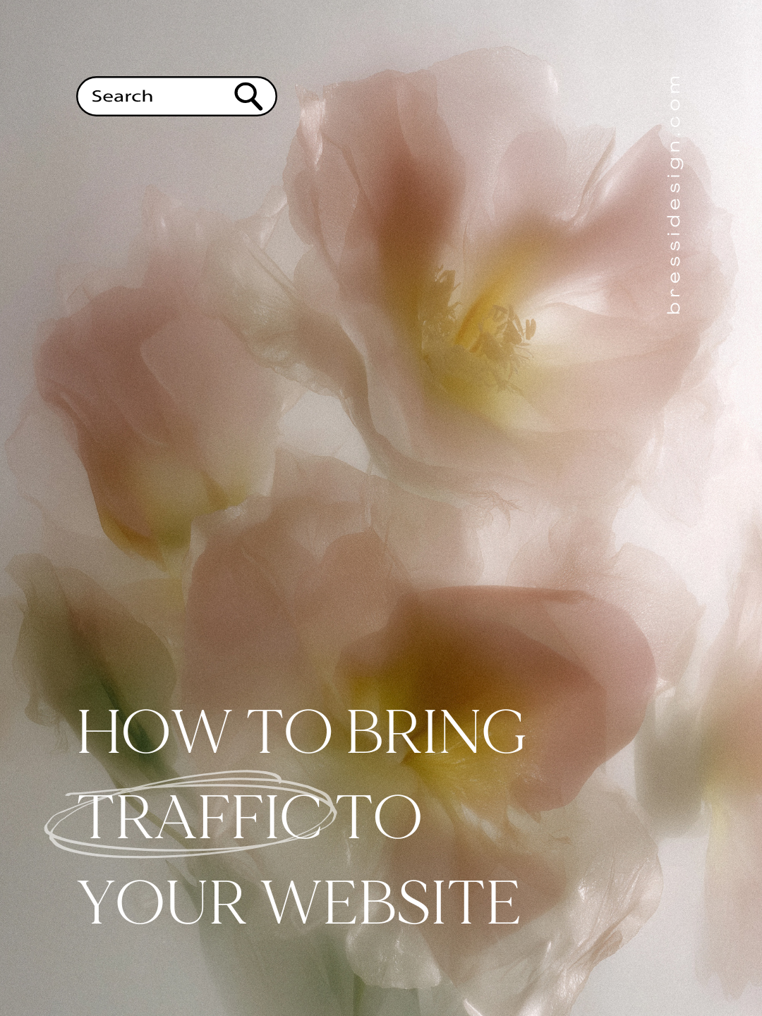 How To Bring Traffic To Your Website