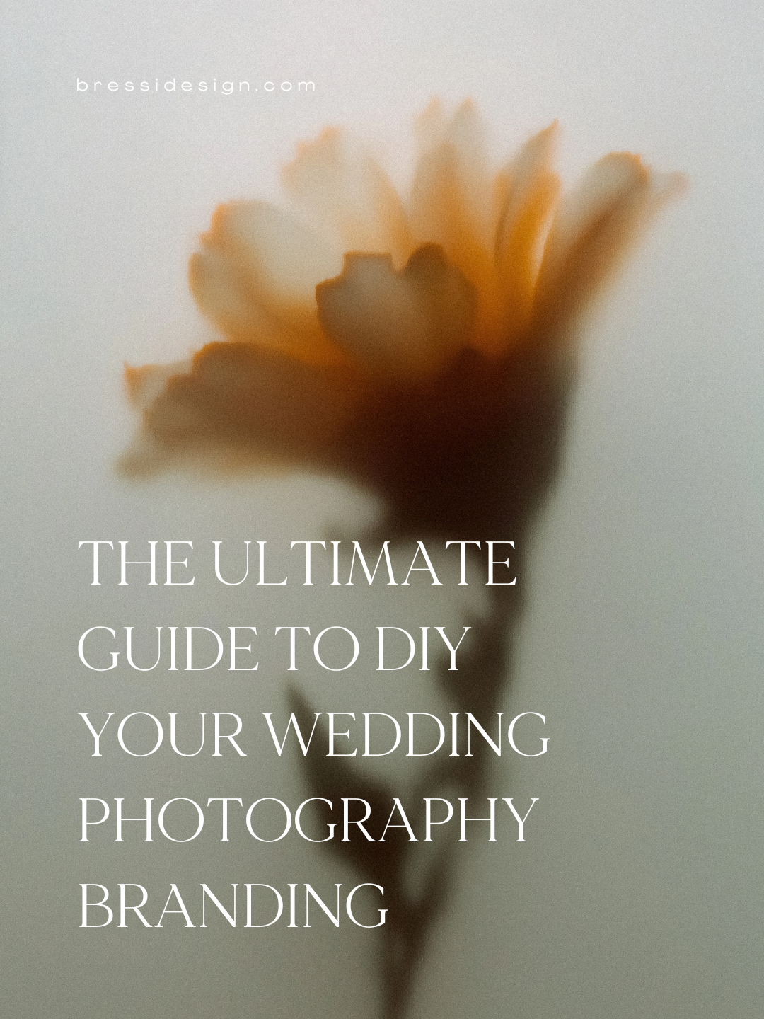 The Ultimate Guide to DIY Your Wedding Photography Branding