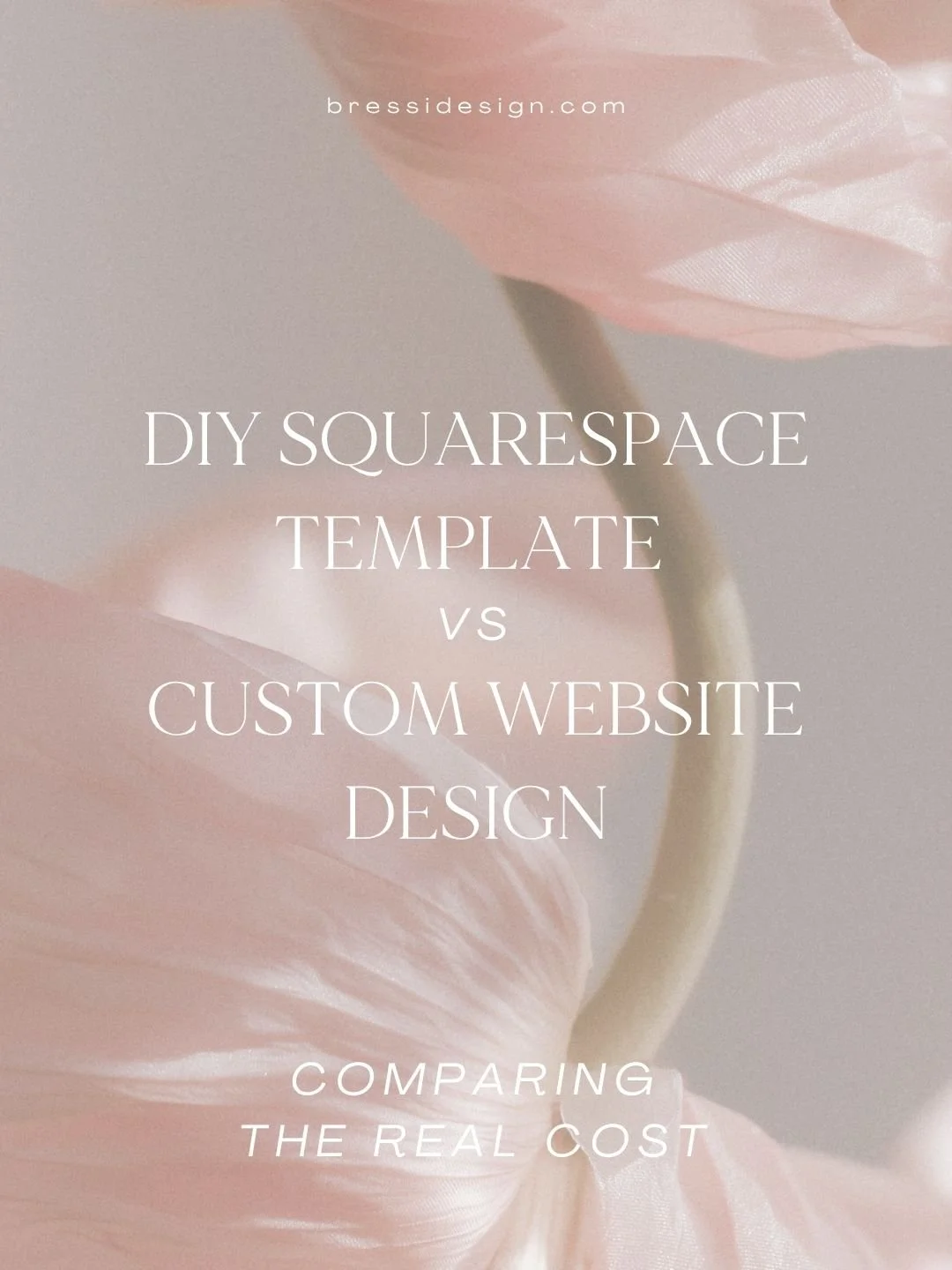 DIY Squarespace Template vs Custom Website Design: Comparing the Real Cost