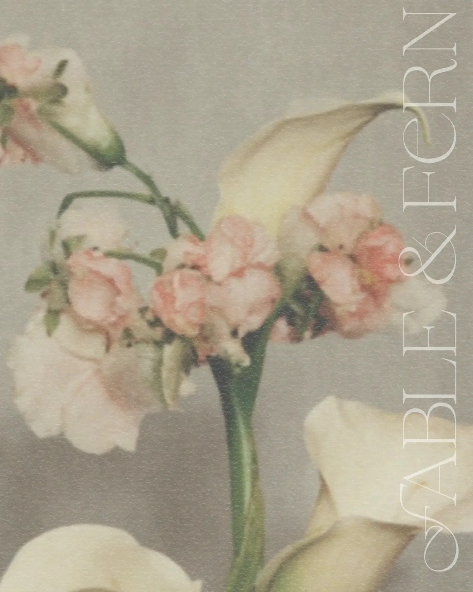 poetic florist branding-09.webp