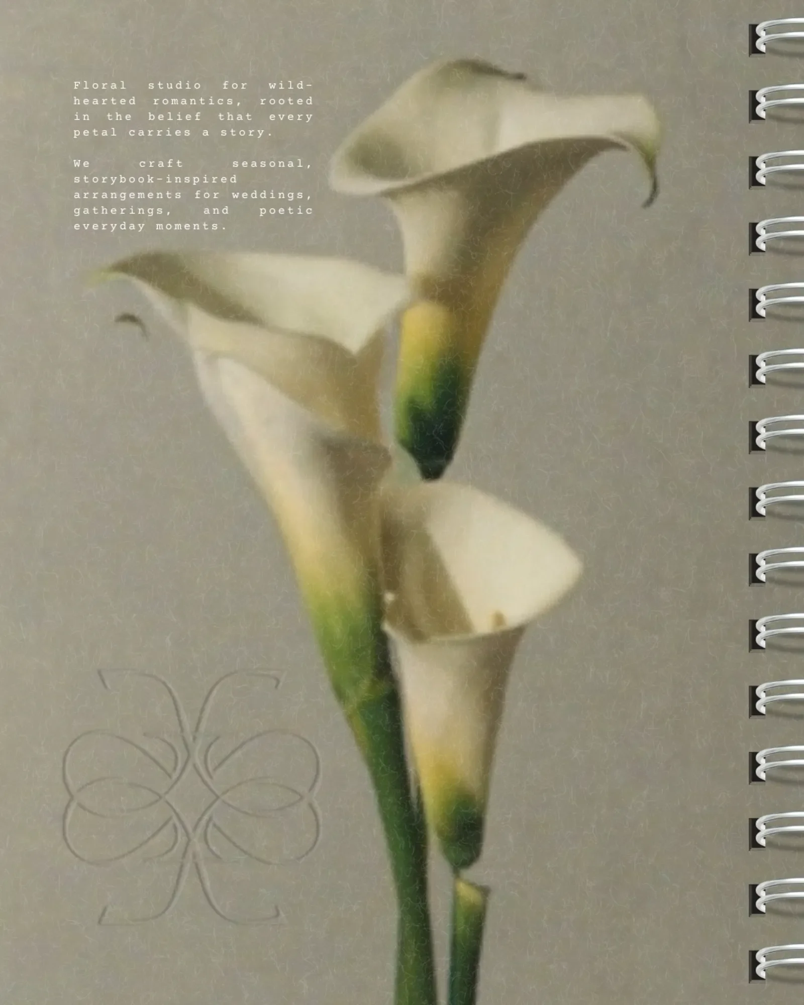 poetic florist branding-08.webp