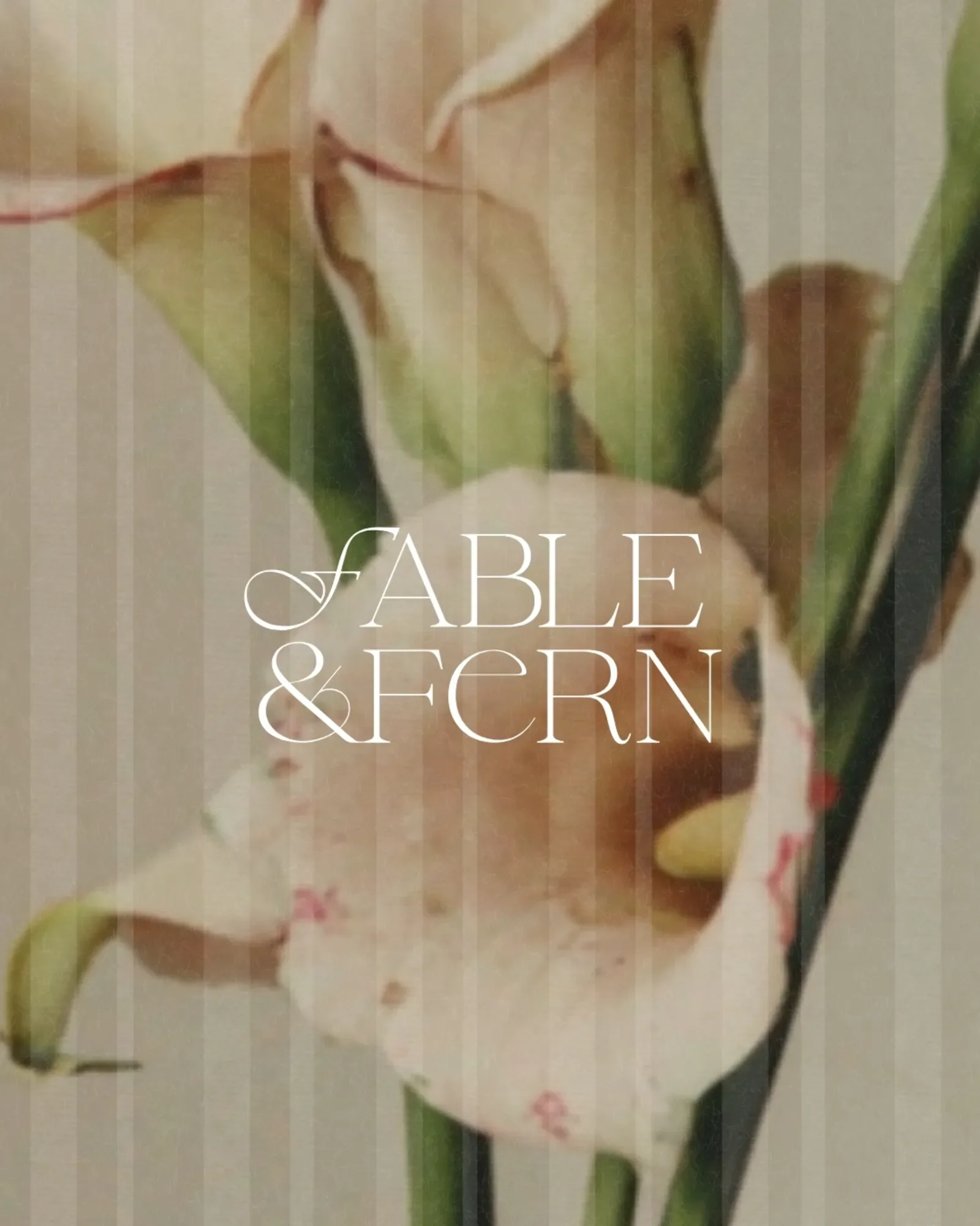 poetic florist branding-04.webp