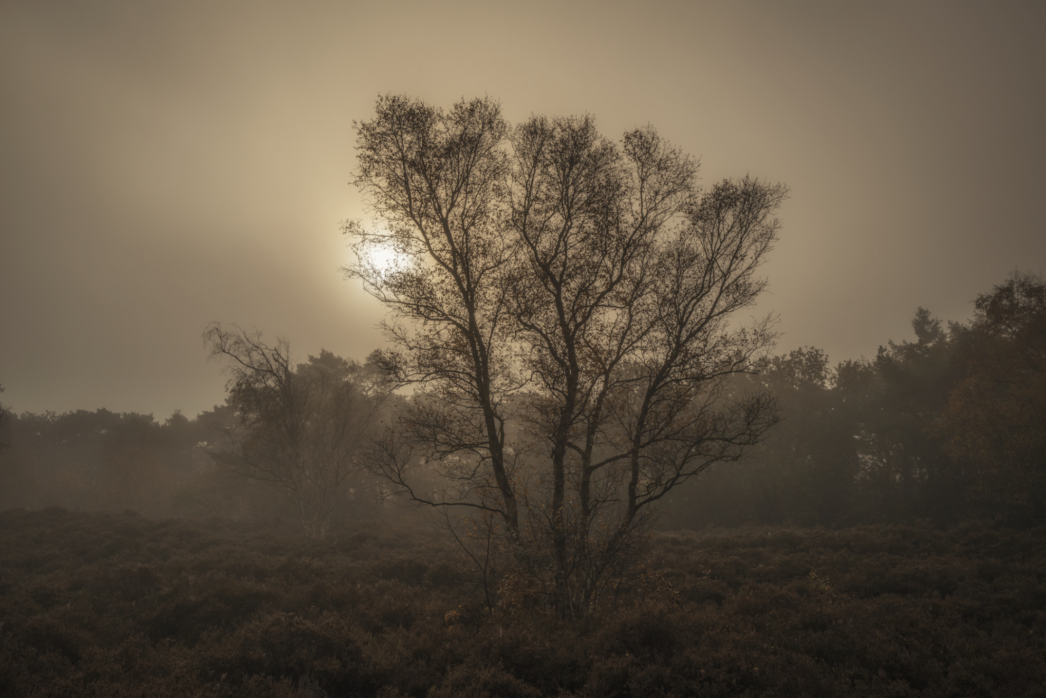 Scherm­afbeelding 2026-01-12 om 13.55.33.png