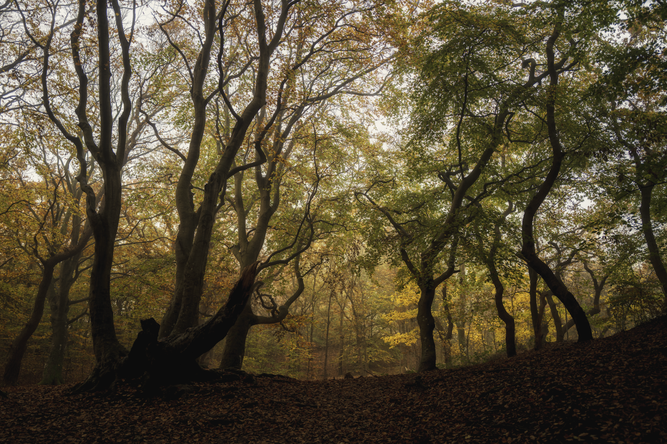 Scherm­afbeelding 2026-01-12 om 13.54.52.png