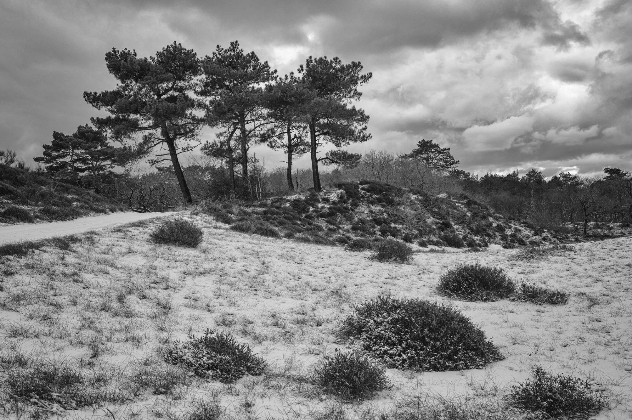 Scherm­afbeelding 2026-01-12 om 13.59.47.png