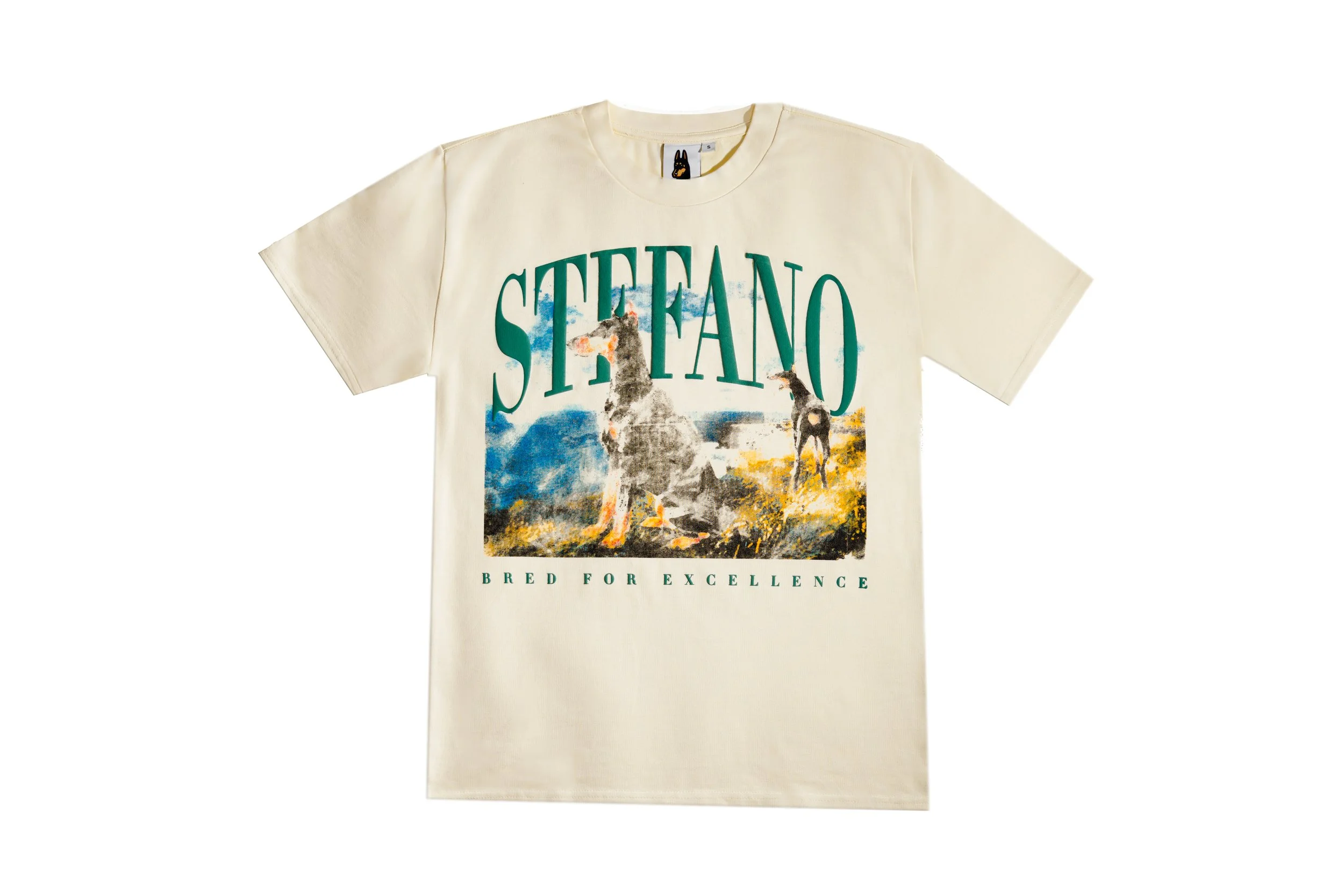 stefano_may25-22.jpg