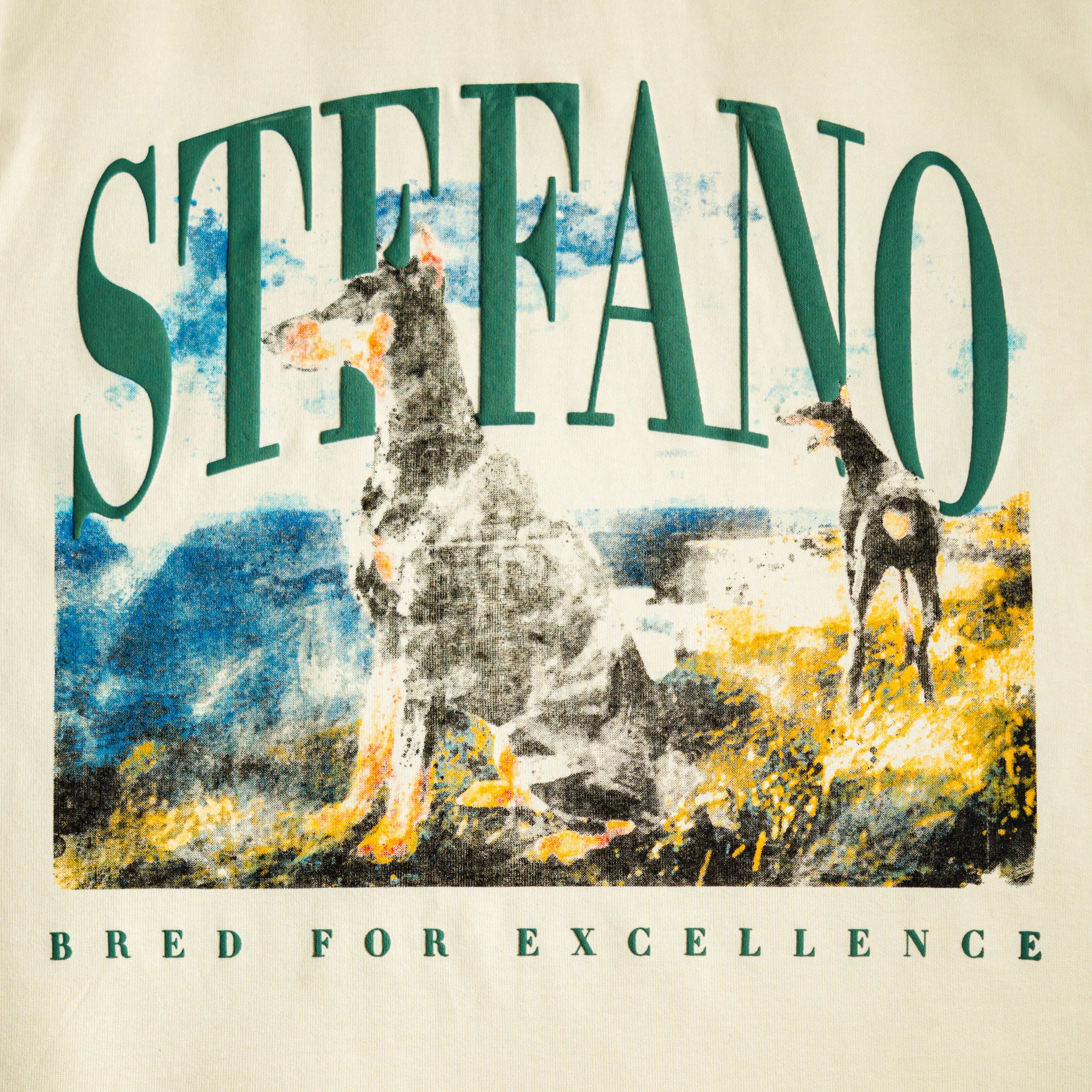 stefano_may25-01.jpg