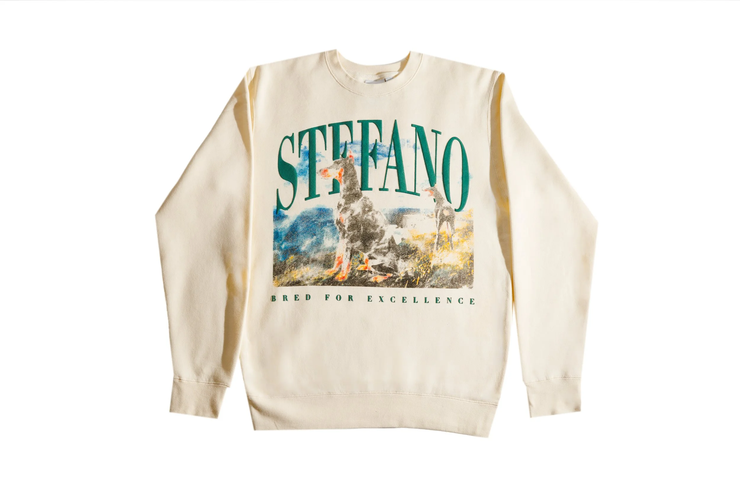 stefano_may25-25.jpg