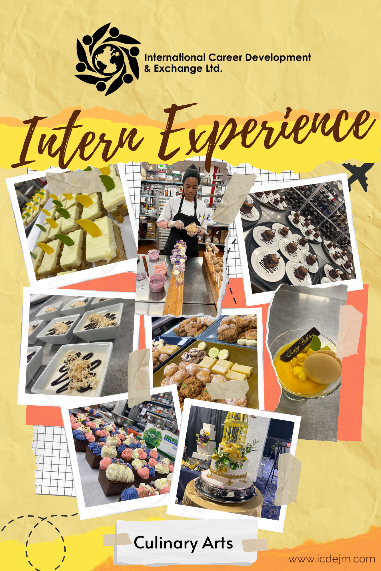 INSTAGRAM STORY -SHAMOYA.png