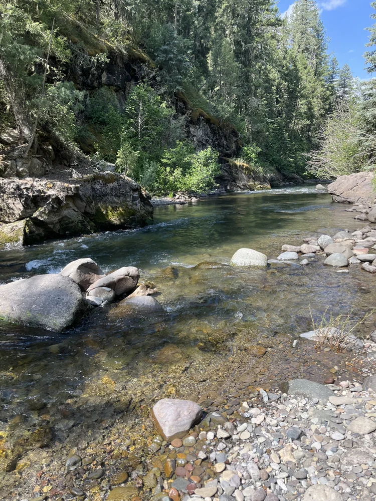 East Fork of the San Juan River, Colorado. Free Dispersed Camping along the road.