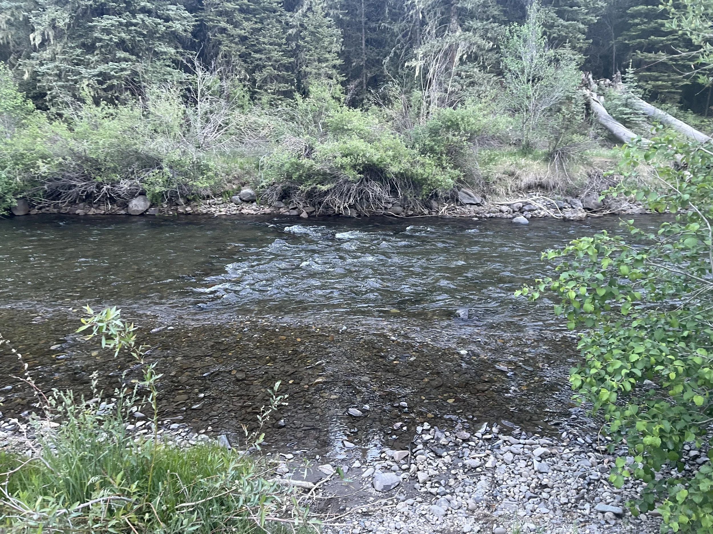 River access at campspot on the East fork of the San Juan River outside of Pagosa Springs, Colorado