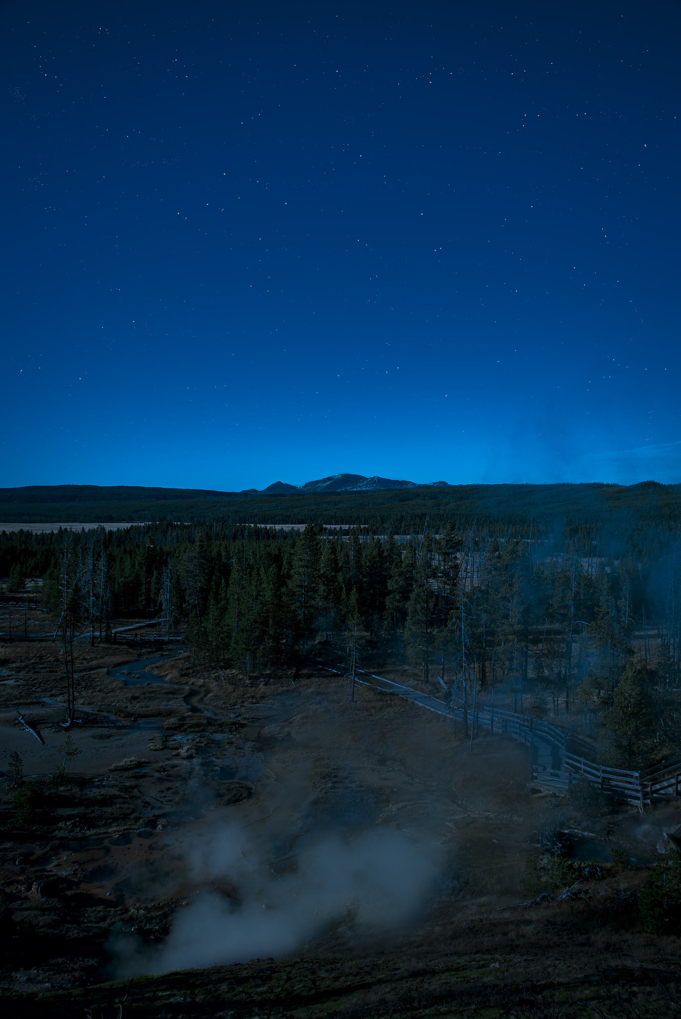 Starry Night in Yellowstone