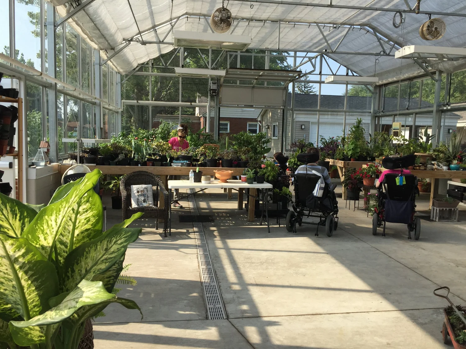 Innovative Neuro Rehabilitation — Special Tree