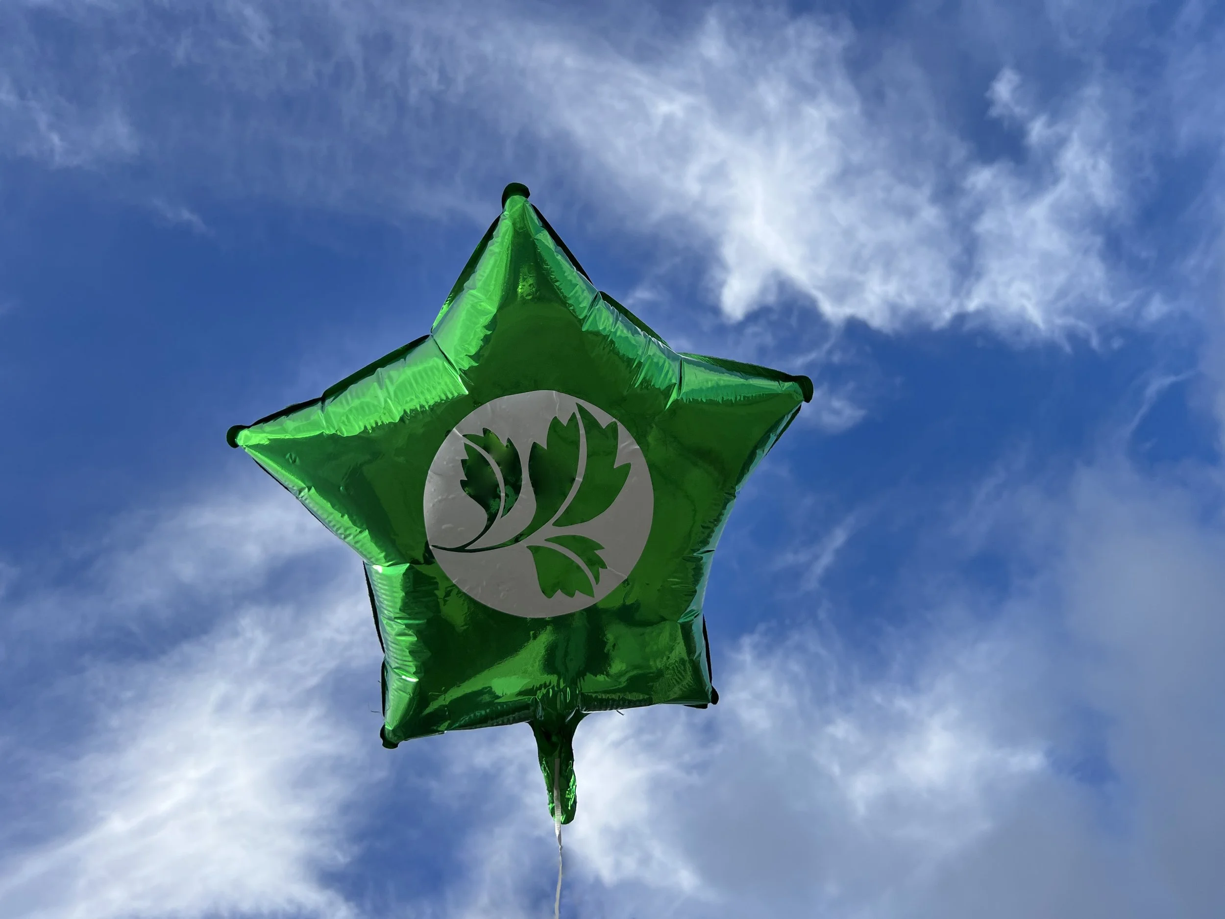 IMG_5128 50Balloon.jpeg