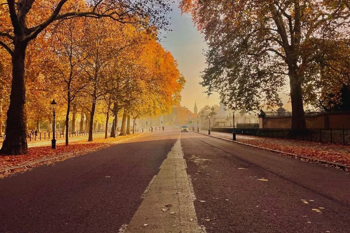 Göçmenlik: Ev Sadece Bir Adres Değil, Bir Hal, Bir İnanç, Bir Anlam