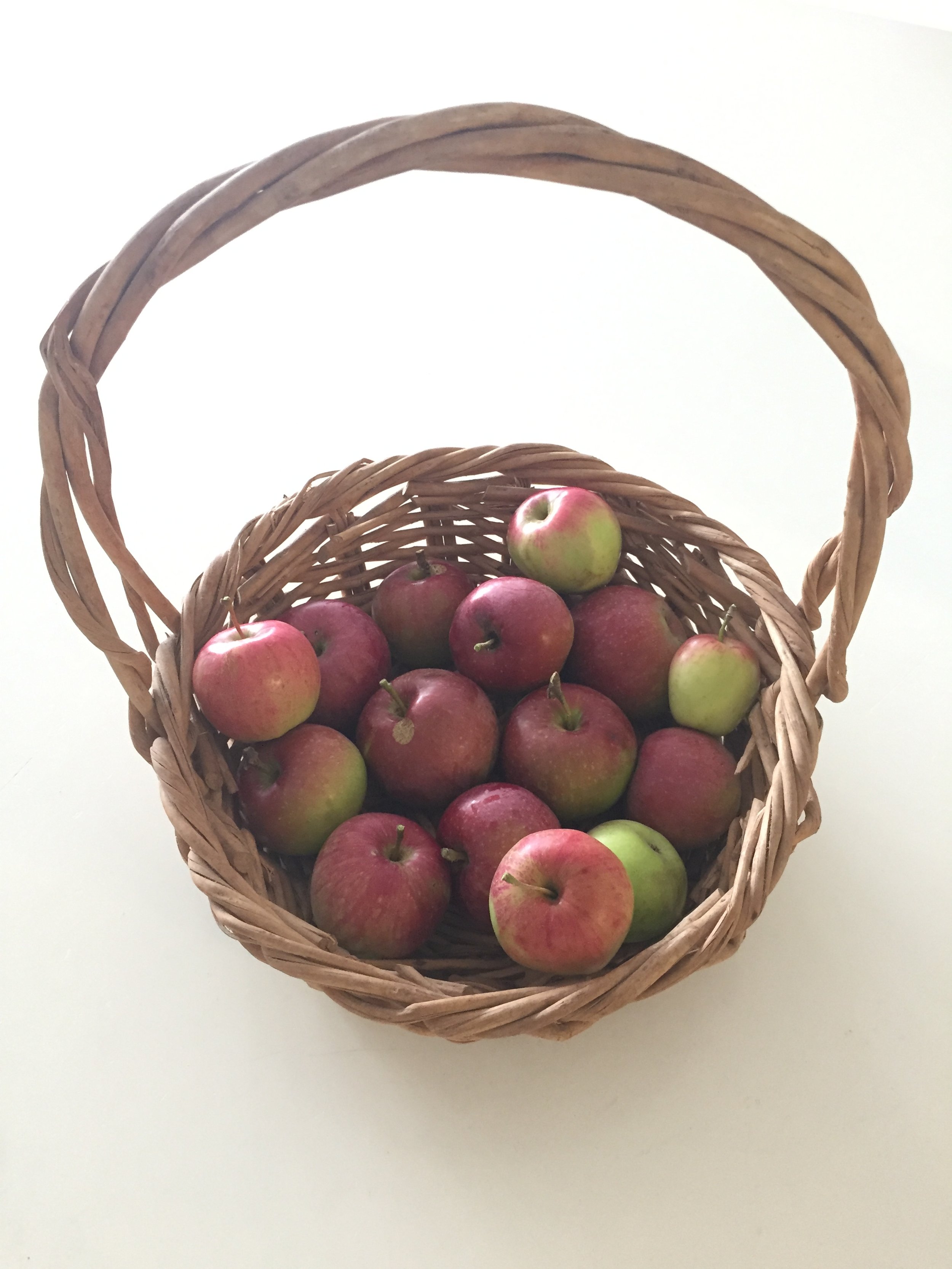 apples in willow basket 2.JPG